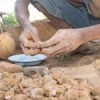 Illegal gold panners at work in Shamvu district, Zimbabwe. Credit:  Phylllis Kachere/IPS