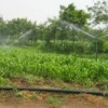 Organic farming has scored many successes: can it be adopted more widely? Credit:  Nebert Mulenga/IRIN