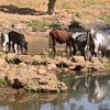 'We must maintain agricultural activity because the poorest rely on agriculture - everything else comes later.' - Simon Cook Credit:  Amy Sullivan/FANRPAN
