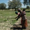 Some are arguing for a climate deal that encourages farmers like these women in Rundu, Namibia to conserve tree cover. Credit:  Servaas van den Bosch/IPS