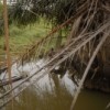 The river at Mtwepe. Credit:  Jessie Boylan/IPS