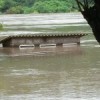 Zambia was hit hard by floods at the start of 2009; officials and communities alike are apprehensive as the rains begin again in November. Credit:  Nebert Mulenga/IRIN