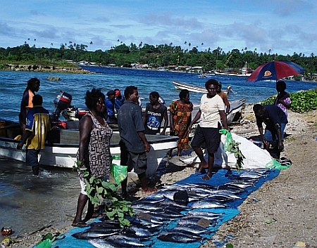 Scene in north Bougainville Credit: Catherine Wilson/IPS