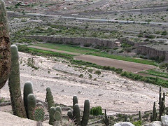 Despite Argentina's image as a land of pampas, most of the territory actually consists of drylands. Credit:Johnny Hunter/CC BY 2.0