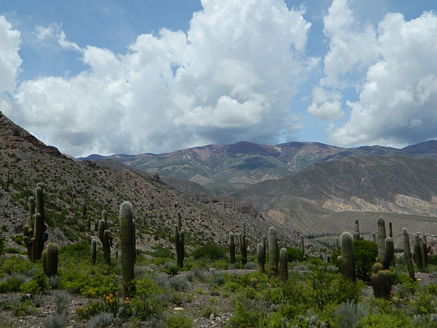 Typical drylands scenery in northwest Argentina, in Tilcara, province of Jujuy. Credit: Juan Moseinco/IPS