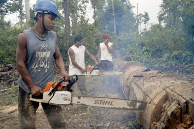 Cutting trees in Nicaragua. Deforestation is inherent to the predatory economy, whether for the exploitation of the timber itself, the soil beneath the trees, or resources in the subsoil. Credit: Germán Miranda/IPS