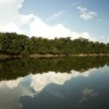 The vast Amazon region needs sustainable development. 