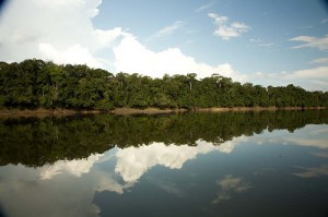 The vast Amazon region needs sustainable development.