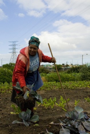 Small farmers around the world face special challenges in sustaining their livelihoods. Credit: Kristin Palitza/IPS