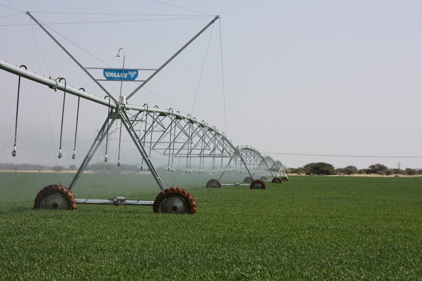Food prices are on the rise again. Above, an irrigated field in Kakamas, South Africa. Africa is particularly vulnerable to the effects of rising prices. Credit: Patrick Burnett/IPS