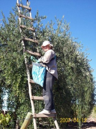 Rural worker in Argentina. Credit: Courtesy of Estudios y Proyectos