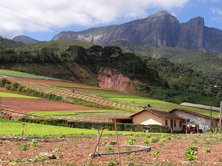 Family farms produce most of the food consumed in Brazil. Credit: Fabíola Ortiz/IPS