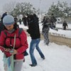 neve