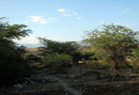 A field in Jacmel, near Port-au-Prince, which was devastated by the January 2010 earthquake. Credit: Patricia Grogg/IPS
