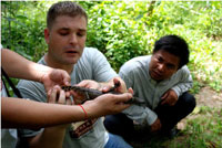 Siamese crocodile found in Phnom Penh; poaching drove the species to the brink of extinction. Credit: Robert Carmichael/IPS