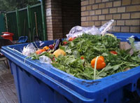 Poland wastes at least 8.9 million tonnes of food every year. Credit: Claudia Ciobanu/IPS