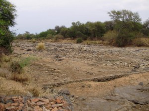 Limpopo dry riverbed at the Zanzibar border crossing into South Africa from Botswana. Credit: Ish mafundikwa