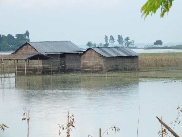 These humble homes, located on a ‘char’ in northern Bangladesh, were half-submerged by severe floods in August that left many river island-dwellers homeless. Credit: Naimul Haq/IPS 