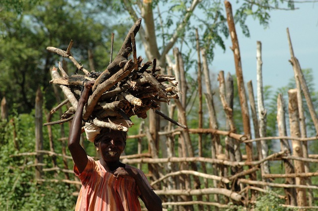 A woman carries firewood in the drought-impacted Pillumalai area of the eastern Batticaloa District. Residents of this region are staring a water crisis in the face, as the main reservoir, the Vakaneri Tank, is almost completely dried up. Credit: Amantha Perera/IPS