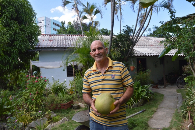 Fidel Pérez, who practices permaculture, grows giant oranges from China in his yard in Santiago de Cuba. Credit: Courtesy Randy Rodríguez Pagés/SEMlac