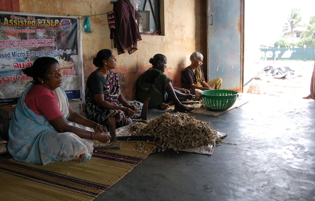 With fewer men putting out to sea in the primarily fishing town of Nagapattinam in the southern Indian state of Tamil Nadu, women are stepping into the breach through micro-enterprises. Credit: Nachammai Raman/IPS