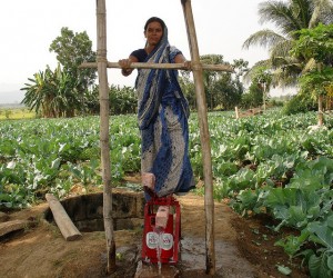 A woman farmer using the treadle pump in Orissa. Credit: Manipadma Jena/IPS