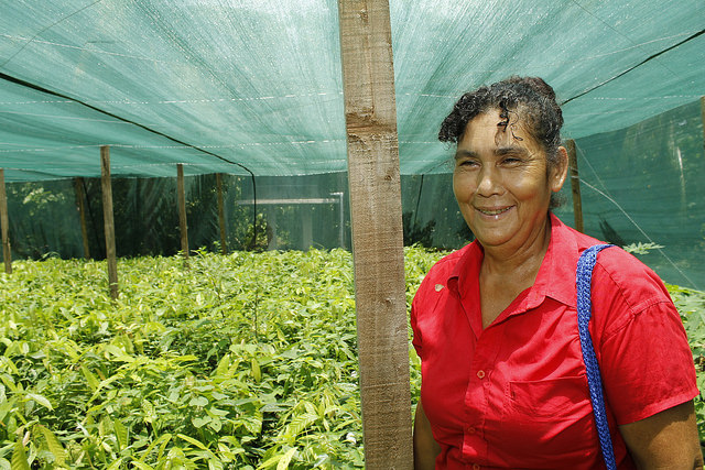 Miriam Bermúdez, one of the rural women who joined the project to grow cacao in San Simón, a village in the eastern Salvadoran municipality of Mercedes Umaña, outside the Vivero La Colmena, the nursery where the 25,000 cacao seedlings to be planted on 25 hectares belonging to the participants in the initiative are grown. Credit: Edgardo Ayala/IPS