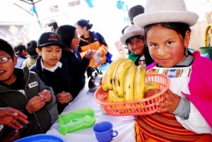 A girl in traditional festive dress from Bolivia’s highlands region displays a basket of fruit during a fair in her school in central La Paz. Fruit is the foundation of the new school meal diet adopted in the municipality, which puts a priority on natural food produced by small local farmers in the highlands. The alliance between family farming and school feeding is extending throughout Latin America thanks to laws put into motion by the Parliamentary Front Against Hunger. Credit: Franz Chávez/IPS