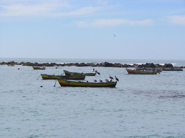 Boats anchored in a small bay in the Chilean town of Algarrobo, waiting for the local fishermen to head out to sea in the evening to put out their lines. They go out the next day at dawn to haul in their catch, in a centuries-old activity that is now threatened by overfishing and laws in favour of industrial-scale fishing.  Credit: Marianela Jarroud/IPS