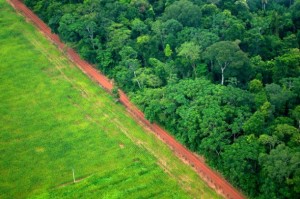 Deforestation, as seen in this part of Rio Branco, the northern Brazilian state of Acre, is one of the main sources of greenhouse gas emissions in Latin America. Credit: Kate Evans/Center for International Forestry Research