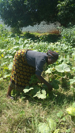 Mary Nyirenda in her garden at her farm in Livingstone, Zambia. Credit: Friday Phiri/IPS