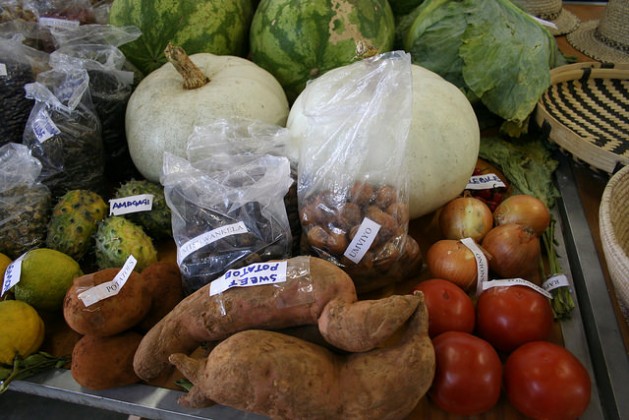 Scientific research can help solve food security issues in Africa. Credit: Busani Bafana/IPS