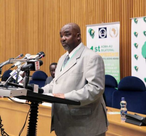 Olabisi Dare, Head of Humanitarian Affairs, Refugees, and Displaced Persons Division at the AU Commission.