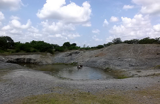 This ditch for collecting rainwater in the rural outskirts of Holguín, a city in eastern Cuba, is used by small farmers to water their cattle. Now it is almost empty due to the drought. Credit: Ivet González/IPS