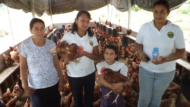 Members of a poultry cooperative in El Salvador, which generates income for the group of women that promoted the initiative and their families. Latin America is the world’s leading exporter of poultry. Credit: Edgardo Ayala/IPS