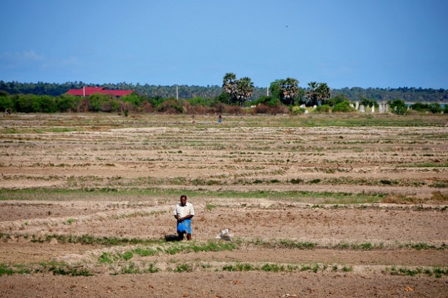 A man stands in the middle of parched paddy land in the northern Kilinochchi District, Sri Lanka. Credit: Amantha Perera/IPS