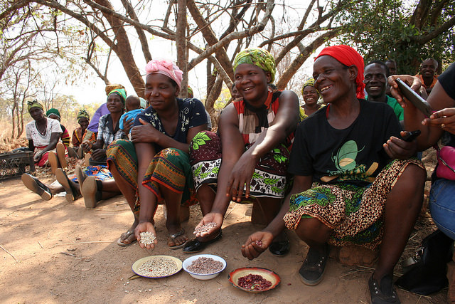Pulses are good for nutrition and income, particularly for women farmers who look after household food security, like those shown here at a village outside Lusaka, Zambia. Credit: Busani Bafana/IPS