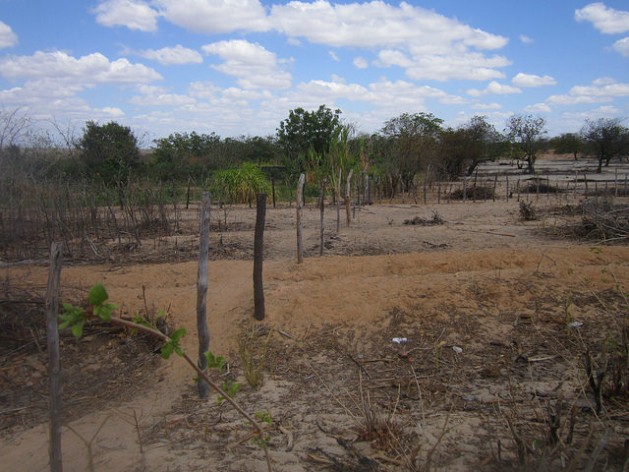 Feminism Helps Villagers Coexist with Drought in Northeast Brazil ...
