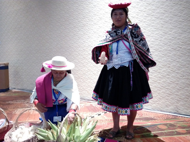 Indigenous women in Ecuador demand protection of native corn during the global summit on biodiversity taking place Dec. 2-17 in Cancún, in southeast Mexico. Credit: Emilio Godoy/IPS