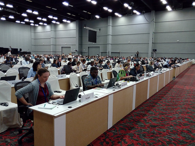 Delegates of the 196 states parties to the Convention on Biological Diversity step up the pace to achieve agreements on conservation and use of the planet’s biodiversity, in a summit that closes on Dec. 17 in Cancún, in Mexico. Credit: Emilio Godoy/IPS