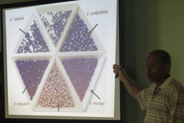  Tomás Shagarodsky, a researcher at the “Alejandro de Humboldt” Tropical Agriculture Research Institute (INIFAT) points out that Cuba can and must produce more varieties of pulses apart from beans and chickpeas. Credit: Jorge Luis Baños/IPS