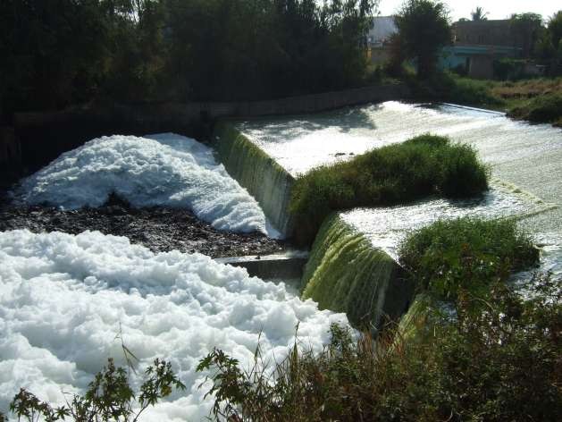 Bellandur Lake, Bengaluru, Karnataka, India. Credit: SIWI