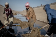 Workers cleaning up the main Al Jazeera irrigation canal as part of a project to resupply water for agricultural production in Iraq. Credit: FAO
