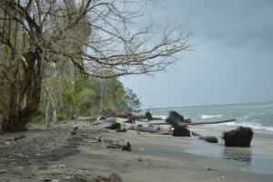 Cahuita National Park, on Costa Rica's eastern Caribbean coast, is suffering a process of coastal erosion which is shrinking its beaches, while the coral reefs underwater are also feeling the impact of climate change. Credit: Diego Arguedas/IPS