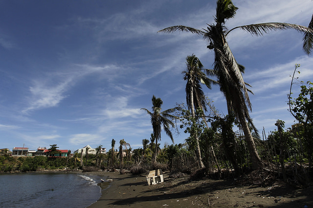 A beach along the coast of Baracoa, where coconut trees were damaged by Hurricane Matthew – a serious problem in this city in eastern Cuba, since coconuts are one of the main local agricultural products. Credit: Jorge Luis Baños/IPS