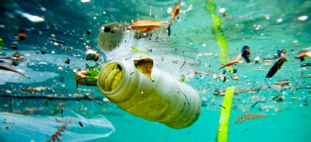 Biodegradable Plastics Are Not the Answer to Reducing Marine Litter. Credit: UNEP