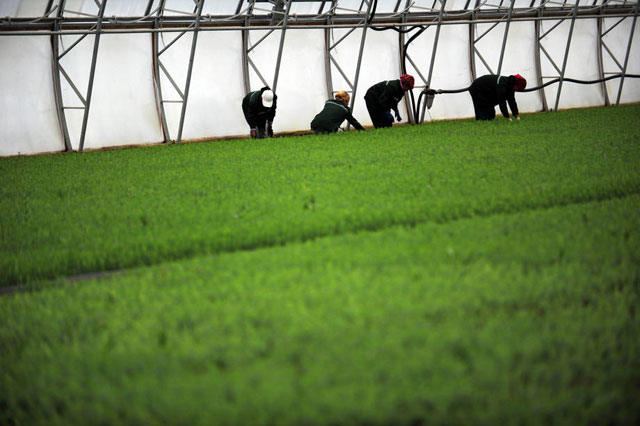 BRICS to Lead World’s Efforts to Eradicate Hunger, Poverty by 2030