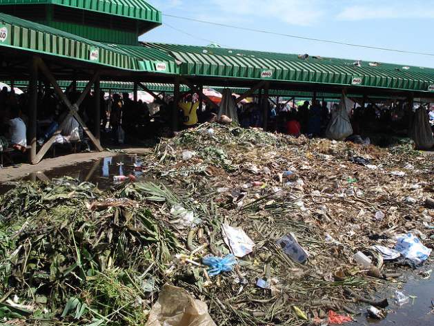 Food systems are not sustainable: a holistic approach is urgently needed to address food and health as well as sustainability along the entire food chain