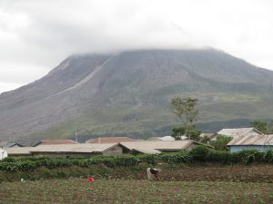 A woman works in her vegetable patch at the foot of Mount Sinabung, North Sumatra, Indonesia. Credit: Kafil Yamin/IPS