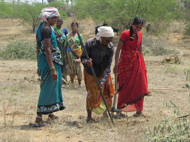 Women restore degraded land in southern India under a government-funded program. Credit: Stella Paul/IPS
